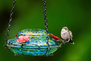 46 River Edge Dr, Woolwich, ME 04579 - Photo 64