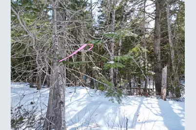 20 Twin Springs Lane, Lincoln, ME 04457 - Photo 1