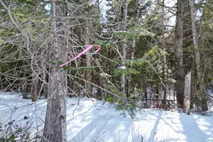 20 Twin Springs Ln, Lincoln, ME 04457 - Photo 1