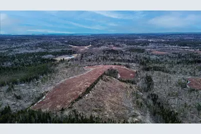 0 Lively Brook Road, Whiting, ME 04691 - Photo 18