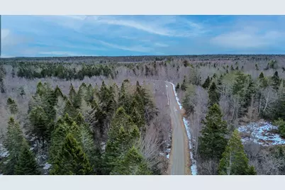 0 Lively Brook Road, Whiting, ME 04691 - Photo 16