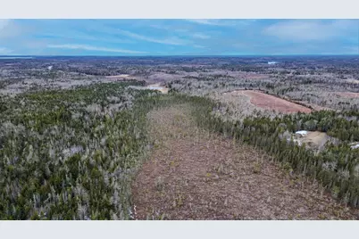 0 Lively Brook Road, Whiting, ME 04691 - Photo 30