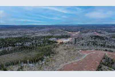 0 Lively Brook Road, Whiting, ME 04691 - Photo 20