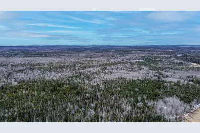 0 Lively Brook Road, Whiting, ME 04691 - Photo 46