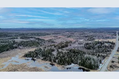 0 Lively Brook Road, Whiting, ME 04691 - Photo 8