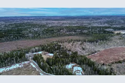 0 Lively Brook Road, Whiting, ME 04691 - Photo 42