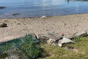 13 McMullen Ave, Tremont, ME 04653 - Photo 68