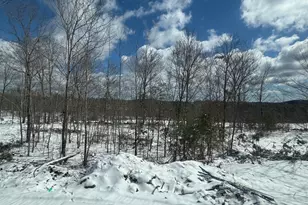 528 Maplewood Rd, Parsonsfield, ME 04047 - Photo 2