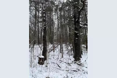 74 Mountain Road, Woolwich, ME 04579 - Photo 4