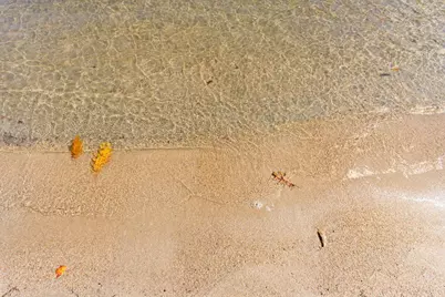 114 Wild Acres Road, Raymond, ME 04071 - Photo 34