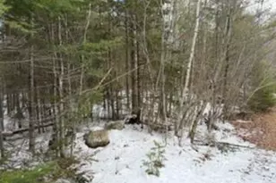 Lot 068002 Shore Rd, Bremen, ME 04551 - Photo 1