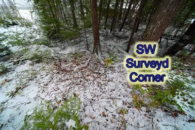 93 Brackett Drive, Weston, ME 04424 - Photo 24