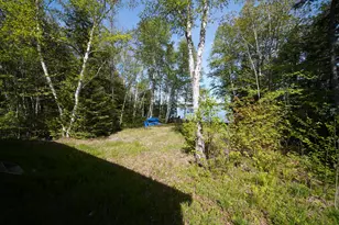 93 Brackett Dr, Weston, ME 04424 - Photo 62
