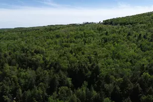 93 Brackett Dr, Weston, ME 04424 - Photo 60