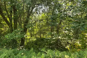 Map1Lot25 Taylor Rd, Athens, ME 04912 - Photo 1