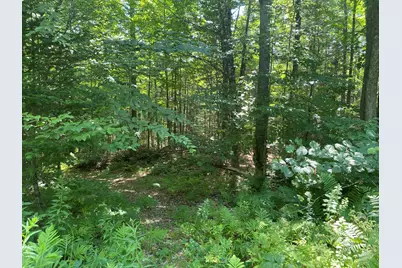 Map1Lot25 Taylor Road, Athens, ME 04912 - Photo 4