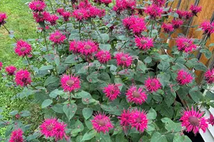 221 Shirley Rd, Blanchard Twp, ME 04406 - Photo 8