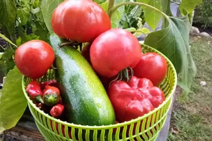 28 Coggeshall Ln, Wells, ME 04090 - Photo 48