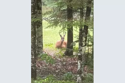 281 Tower Road, Vienna, ME 04360 - Photo 44