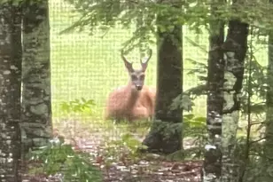 281 Tower Rd, Vienna, ME 04360 - Photo 44