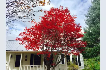 281 Tower Road, Vienna, ME 04360 - Photo 8