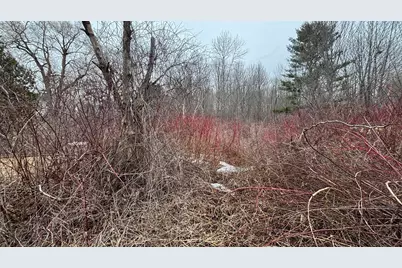 7 Ballard Street, Brunswick, ME 04011 - Photo 26