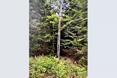 163 Sandy Acres Drive, Sullivan, ME 04664 - Photo 1