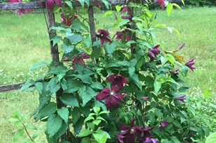 22 Dyer Ln, Casco, ME 04015 - Photo 40