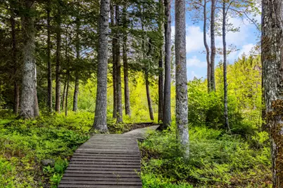 95 Silsby Road, Mariaville, ME 04605 - Photo 52