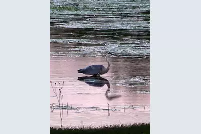 95 Silsby Road, Mariaville, ME 04605 - Photo 64