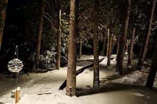 95 Silsby Rd, Mariaville, ME 04605 - Photo 86