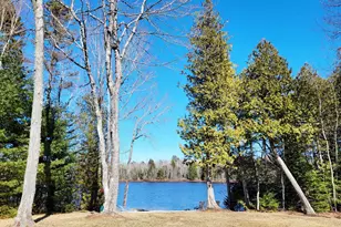 200 Tannery Brook Rd, Mariaville, ME 04605 - Photo 2