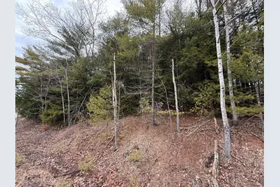 M43 L6 Shady Nook Road, Newfield, ME 04095 - Photo 2