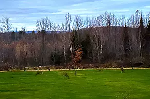 260 Nyes Corner Rd, Saint Albans, ME 04971 - Photo 52