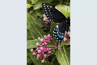 260 Nyes Corner Road, Saint Albans, ME 04971 - Photo 46