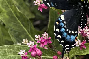 260 Nyes Corner Rd, Saint Albans, ME 04971 - Photo 46