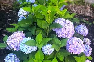 260 Nyes Corner Rd, Saint Albans, ME 04971 - Photo 48