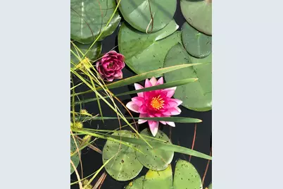 260 Nyes Corner Road, Saint Albans, ME 04971 - Photo 44