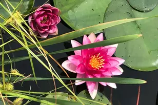 260 Nyes Corner Rd, Saint Albans, ME 04971 - Photo 44