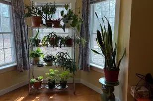 203 Garnet Head Rd, Pembroke, ME 04666 - Photo 42