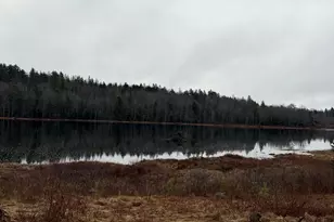 0 Guzzle Rd, Gouldsboro, ME 04607 - Photo 1