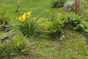 25 Oak Ridge Rd, Shirley, ME 04485 - Photo 14