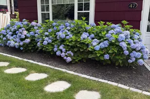 47 Long Sands Rd, York, ME 03909 - Photo 1