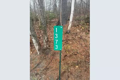 1373 Bailey Road, Jackson, ME 04921 - Photo 1