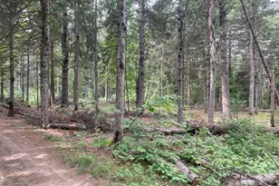 Map3 L14 N Rd, Harmony, ME 04942 - Photo 22