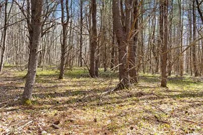 Lot 3 Kennebrook Lane, Lyman, ME 04002 - Photo 12