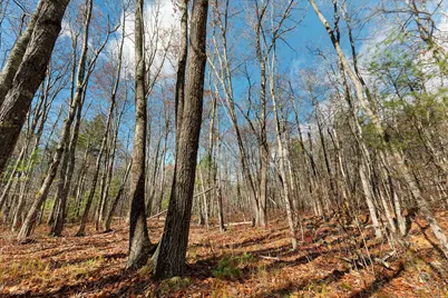 Lot 3 Kennebrook Lane, Lyman, ME 04002 - Photo 8