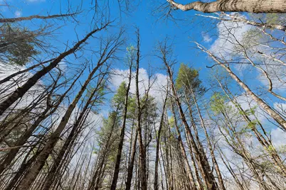 Lot 3 Kennebrook Lane, Lyman, ME 04002 - Photo 10