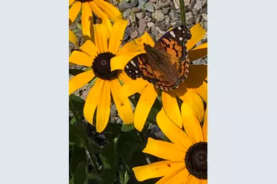 474 N Howland Road, Howland, ME 04448 - Photo 56