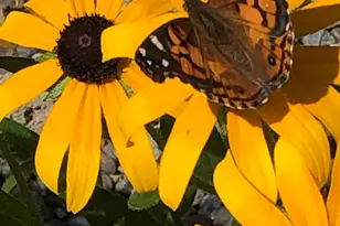 474 N Howland Rd, Howland, ME 04448 - Photo 56